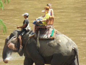 Long-tail Boat Trip On The Mekong River