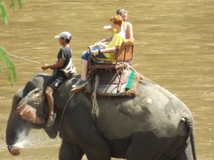 Longtail Boat Trip On The Mekong River