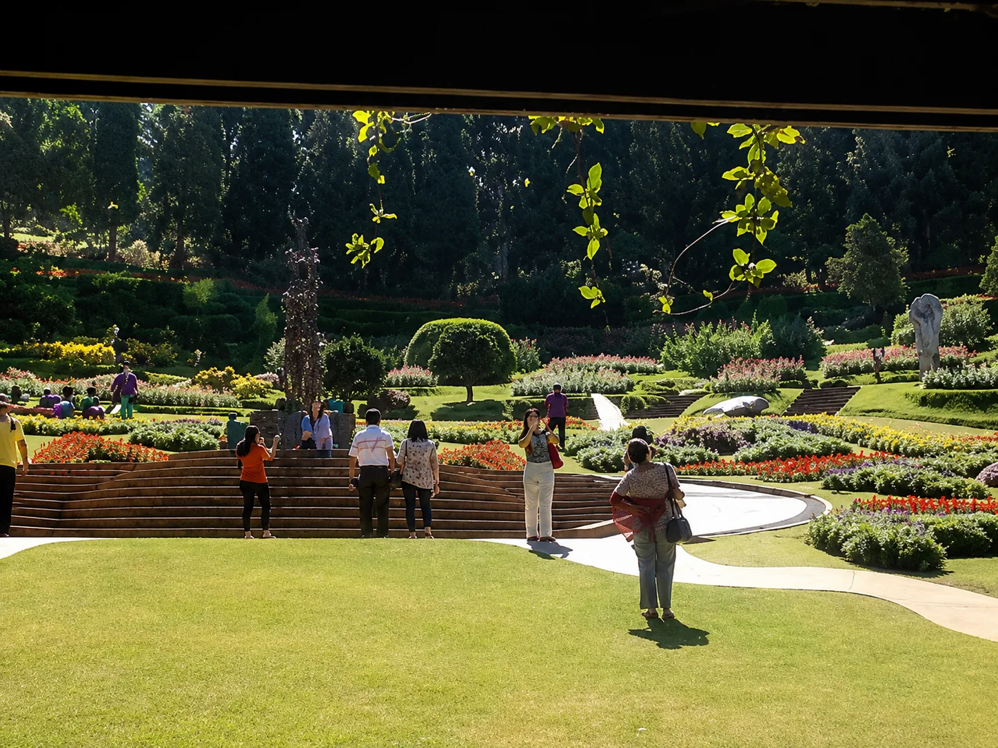 Doi Thung & Doi Mae Salong
