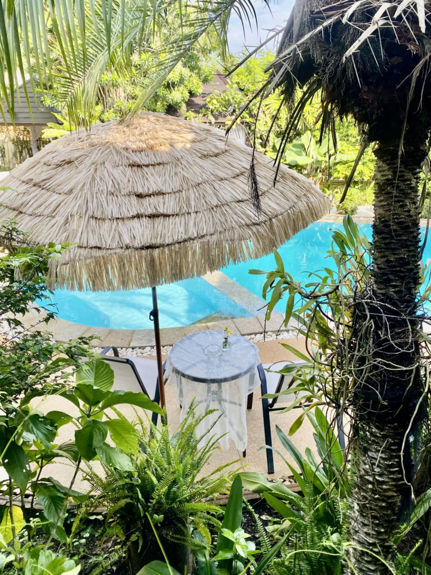 Gardens — Homestay Chiang Rai