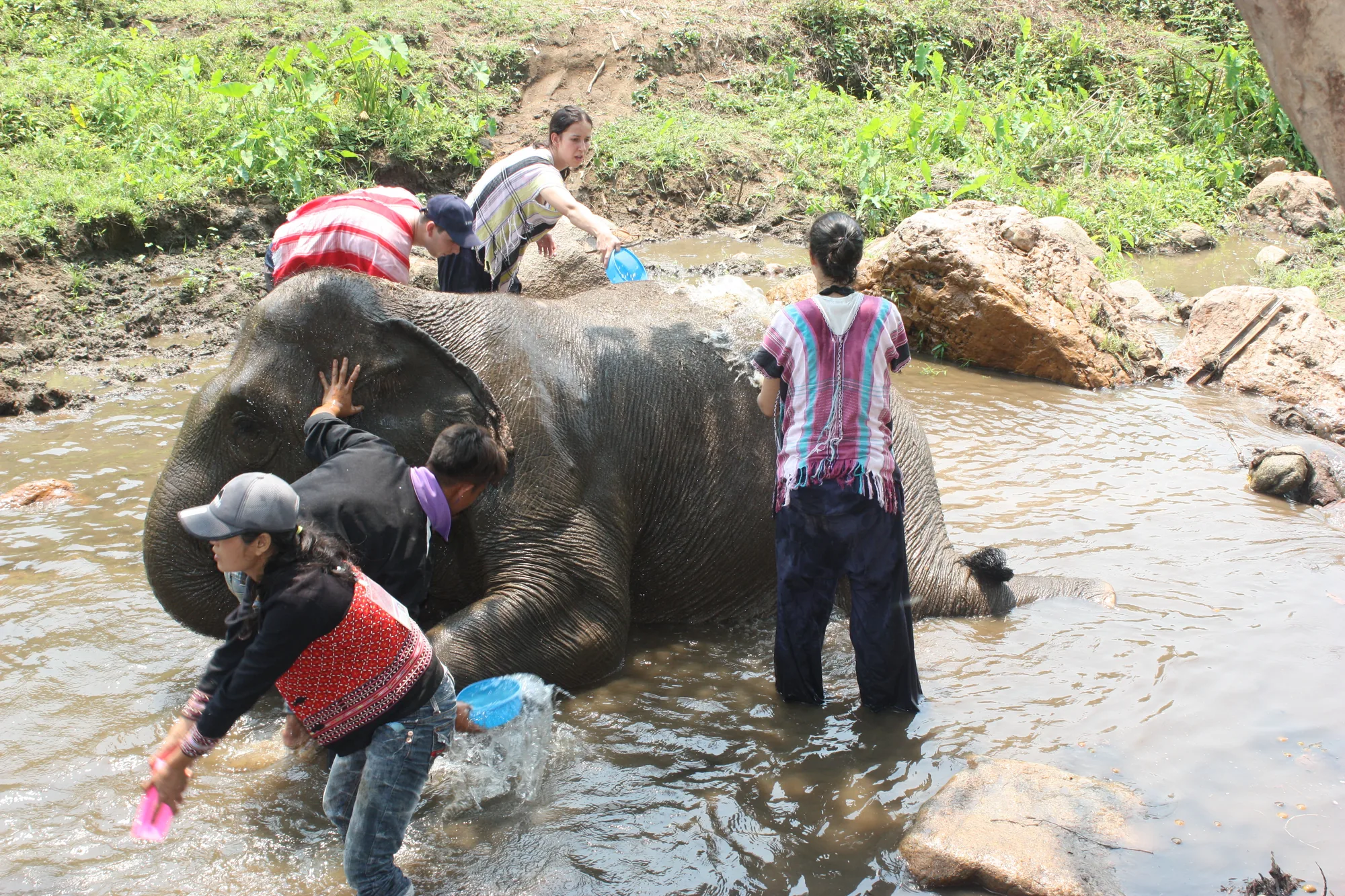 Elephant Hilltribe Day